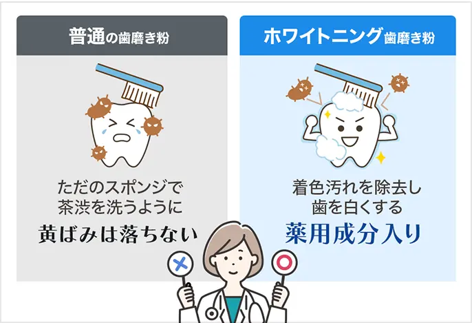 ・普通の歯磨き粉：ただのスポンジで茶渋を洗うように黄ばみは落ちない　・ホワイトニング歯磨き粉：着色汚れを除去し歯を白くする薬用成分入り